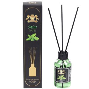 Odorizant camera - Menta | 110 ml