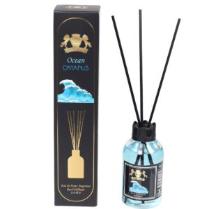 Odorizant camera - Ocean | 110 ml